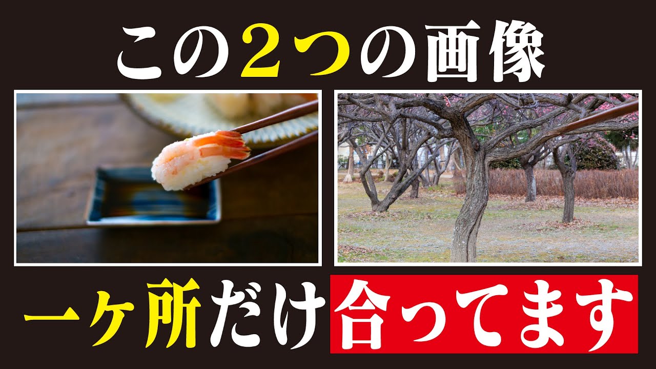 東大生の観察力検証 〜合ってる探し〜【逆間違い探し】