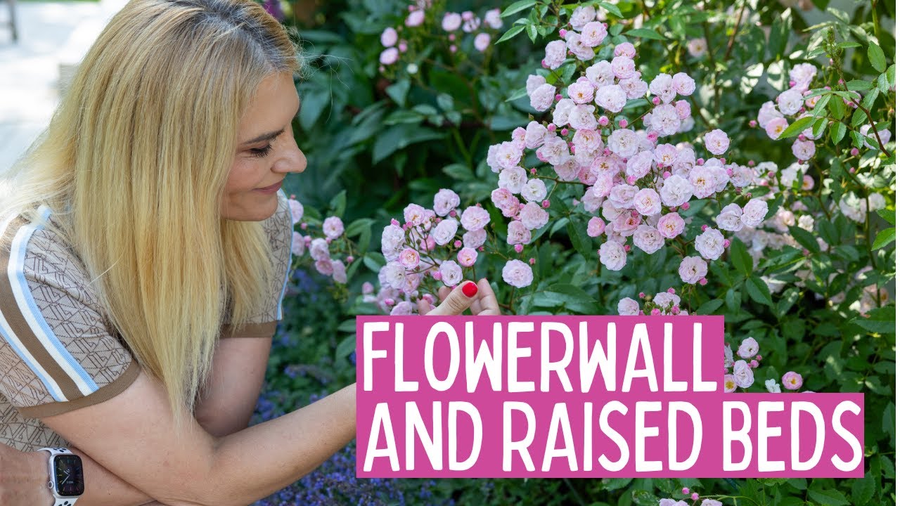Patio Update: Raised Beds, Flower Compositions, and a Wall of Supertunias
