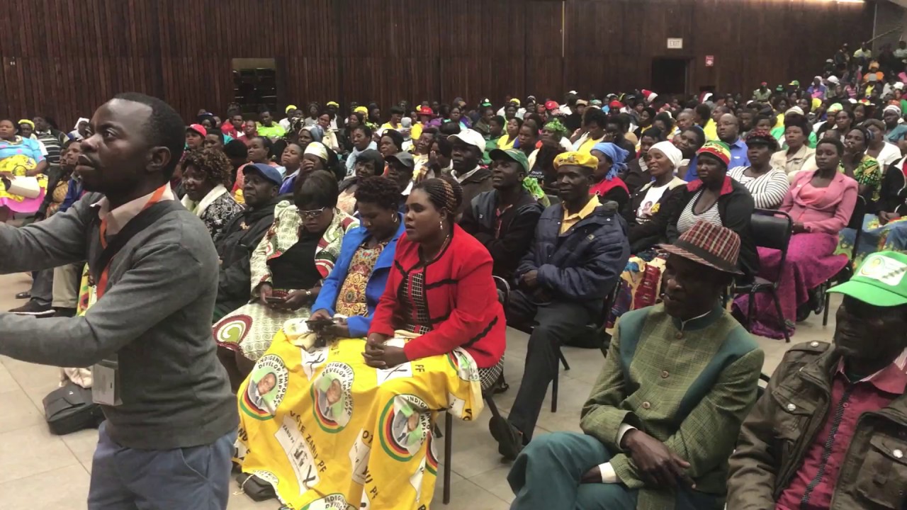 Mandi Chimene takes a swipe on Tshinga Dube (Part 1)