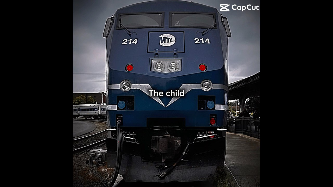 The child💙🩶 AND the mother💛💙 #metronorth #mta #heritagetrain This is part of my metro north au!