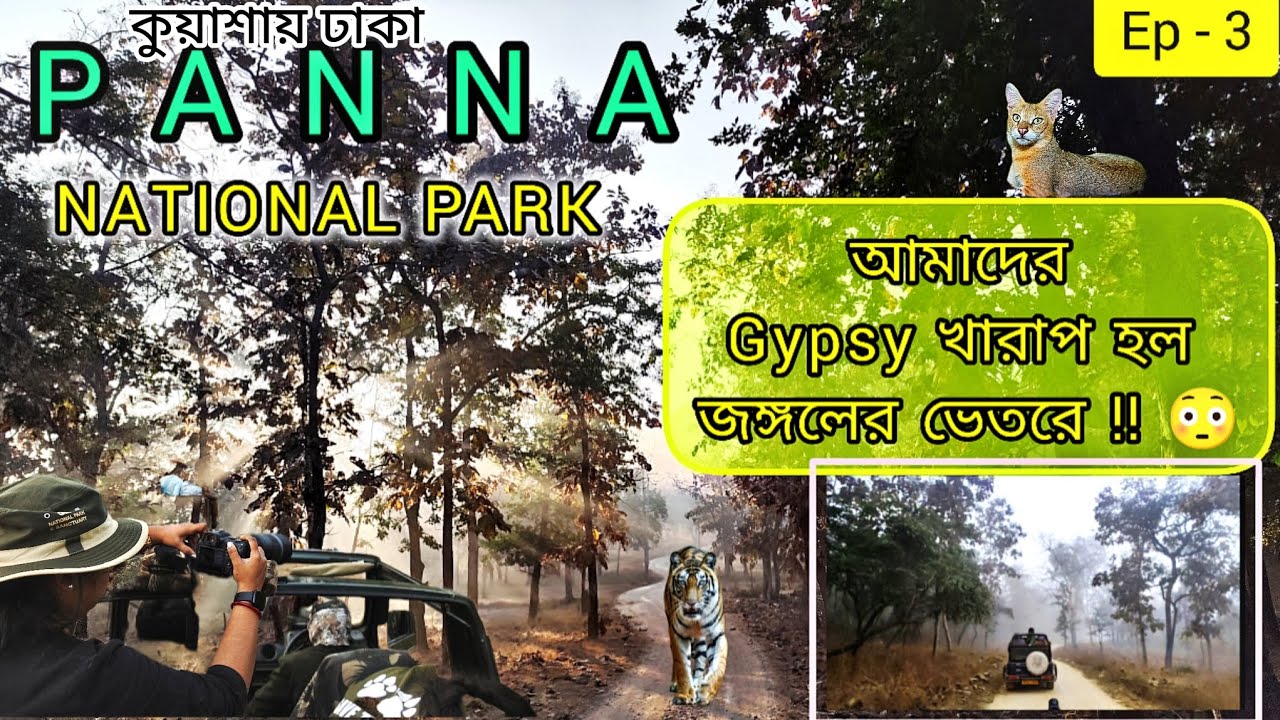 জঙ্গলের মধ্যে আটকে পড়লাম! 🐅🚗 পান্না টাইগার রিজার্ভে গাড়ি বিকল | (Ep-3)Car Breaks Down in #panna