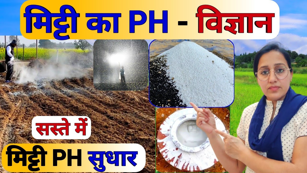 मिट्टी के PH मान में सुधार | Soil ph | Acidic Soil | खेती में चूने का सही प्रयोग | Limestone uses