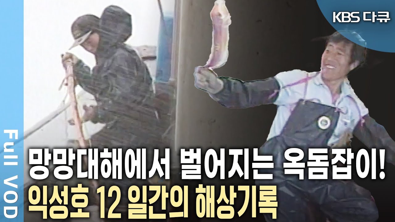 태풍, 폭풍우 등 겪어야 하는 시련은 헤아릴 수 없다! 망망대해에서 벌어지는 제주 옥돔잡이배 12일간의 해상기록! | 동중국해 제주 옥돔잡이 12일 | KBS 20110503 방송