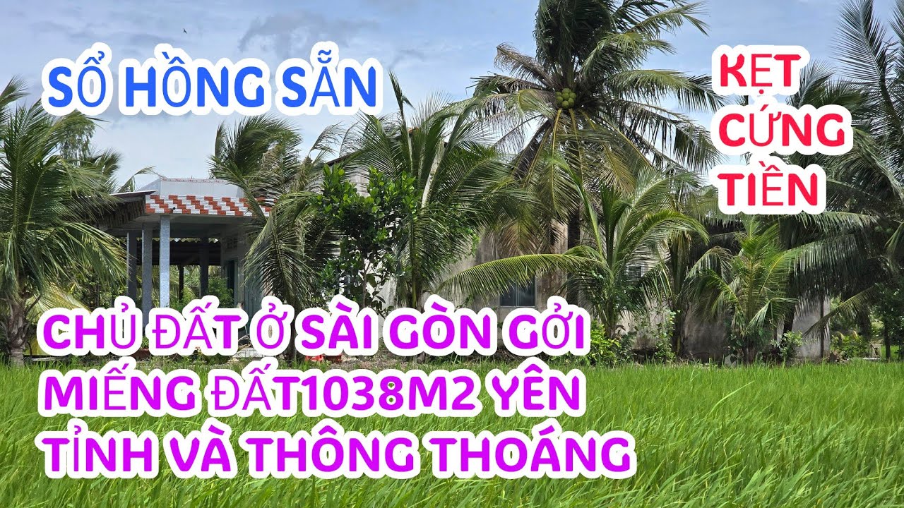 MS:25292 Bán mảng đất giá sinh viên - Xã long định đồng tháp mới đuối 550 triệu hết đất 1038m2.