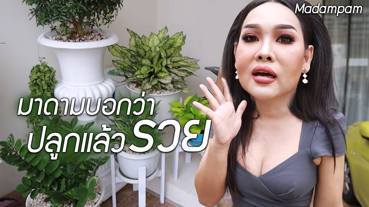 ปลูกแล้วรวย นี่คือความเชื่อส่วนบุคคล