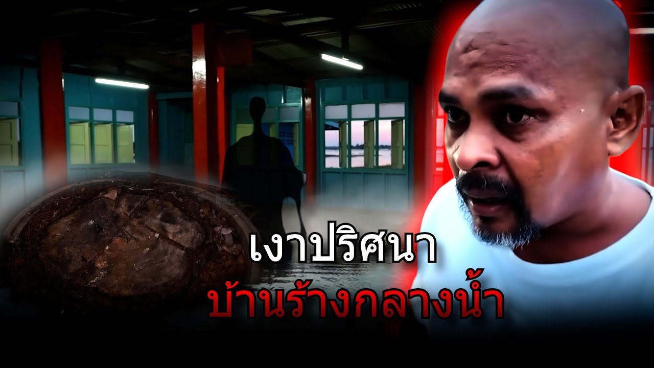 เงาปริศนา