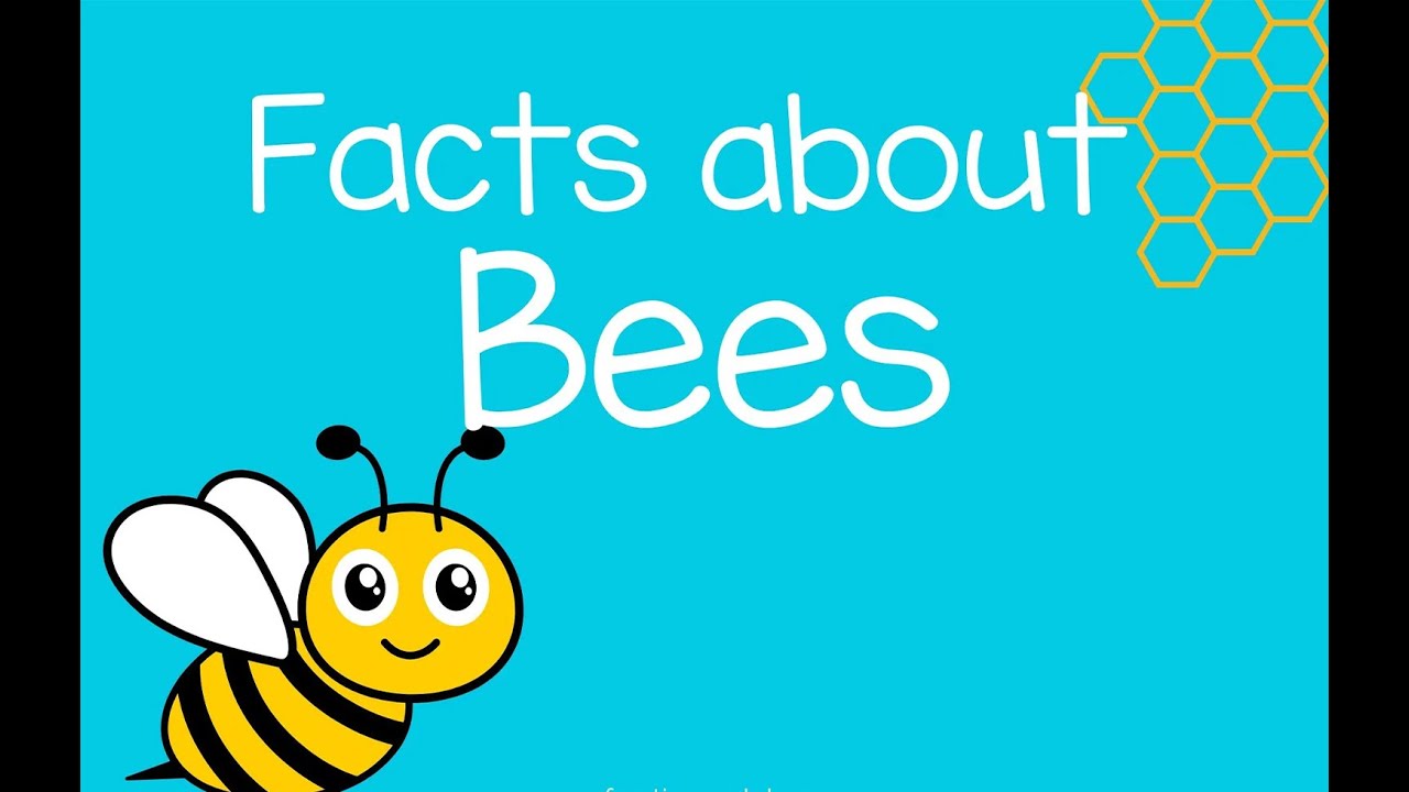 Why Do Bees Make Honey? 🍯🐝 Buzzing Facts for Curious Kids!