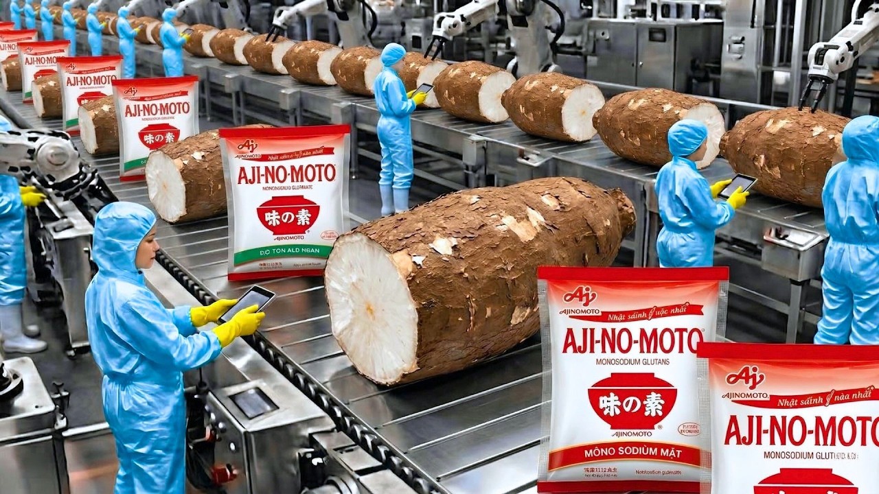 Inside the Giant Ajinomoto Factory: How MSG Is Made from Cassava (Full Process)