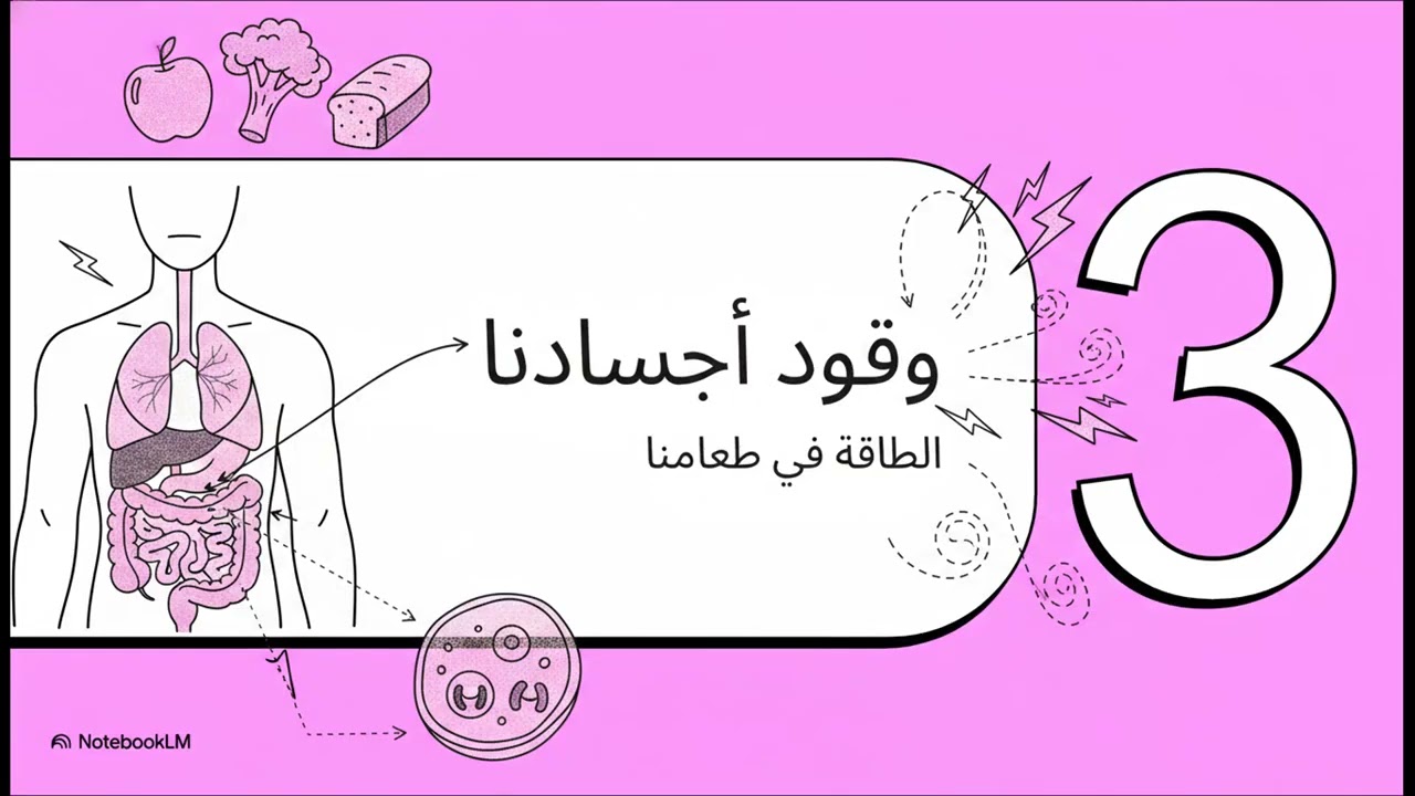 كيمياء2- ثان ثانوي- الفصل الدراسي الثاني - الطاقة والتحولات الكيميائية: الجزء الثاني من الدرس الاول