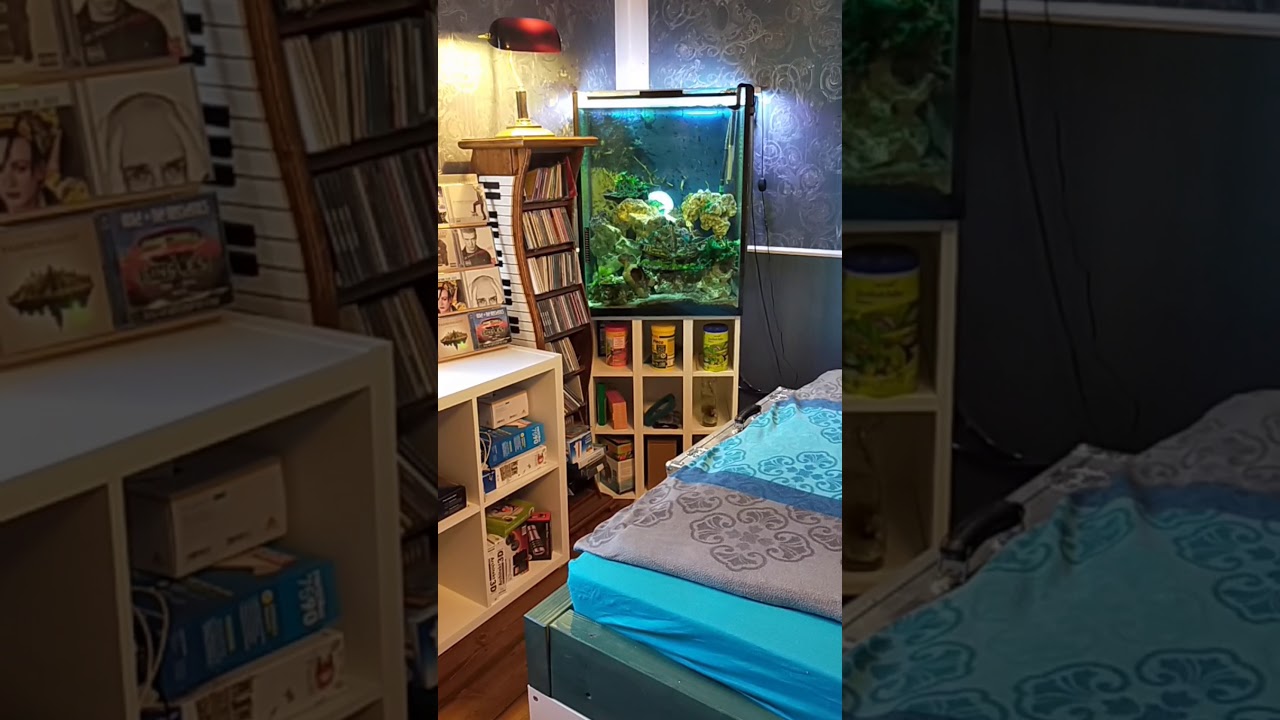 Kompaktes Design in einem Zimmer by Bodenst&auml;ndig