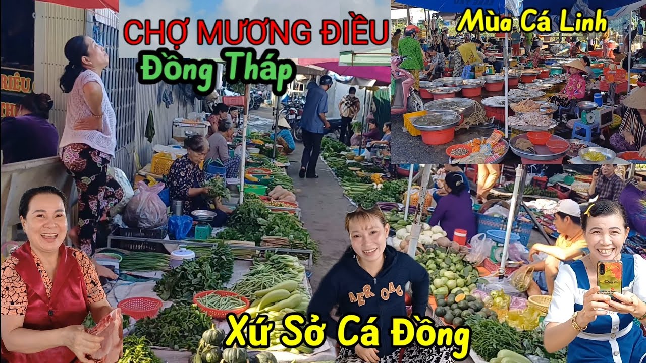 Chợ Mương Điều - Lấp Vò Đồng Tháp, quá nhiều trái cây và Cá Đồng