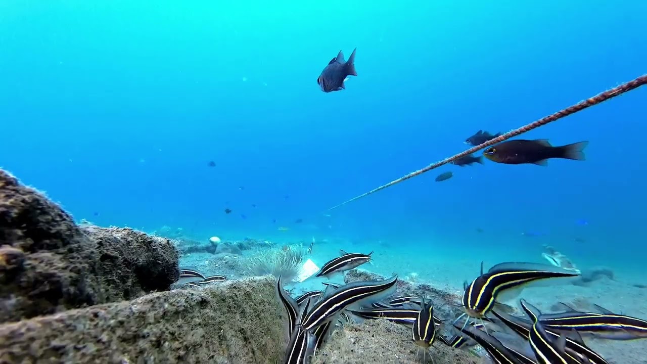Ocean video vibes na naman tayo mga idol 