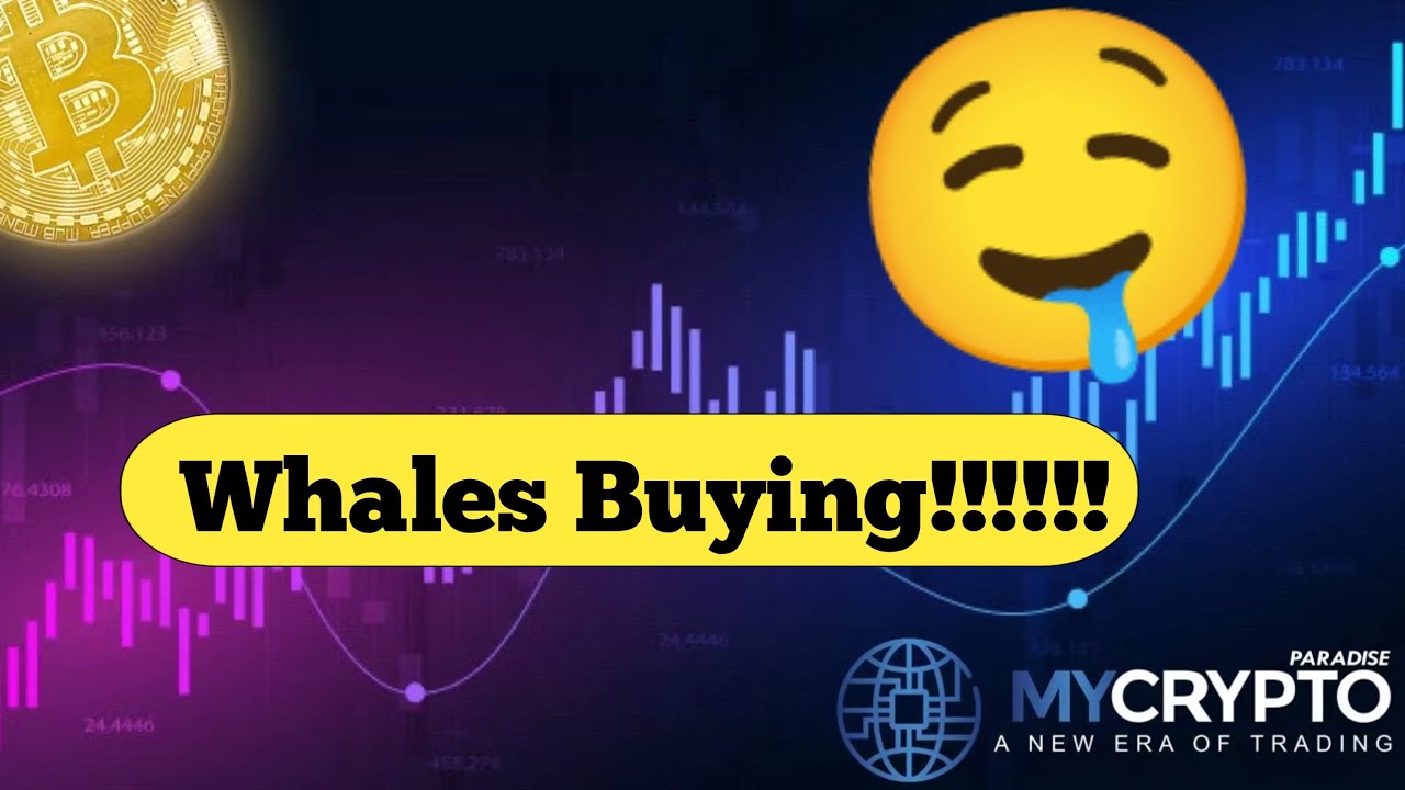 ⚠️CRAZY!!! SFP 400% PUMP INCOMING?!!!!!❤️&zwj;🔥 Crypto signals analysis + Why is SafePal the best wallet