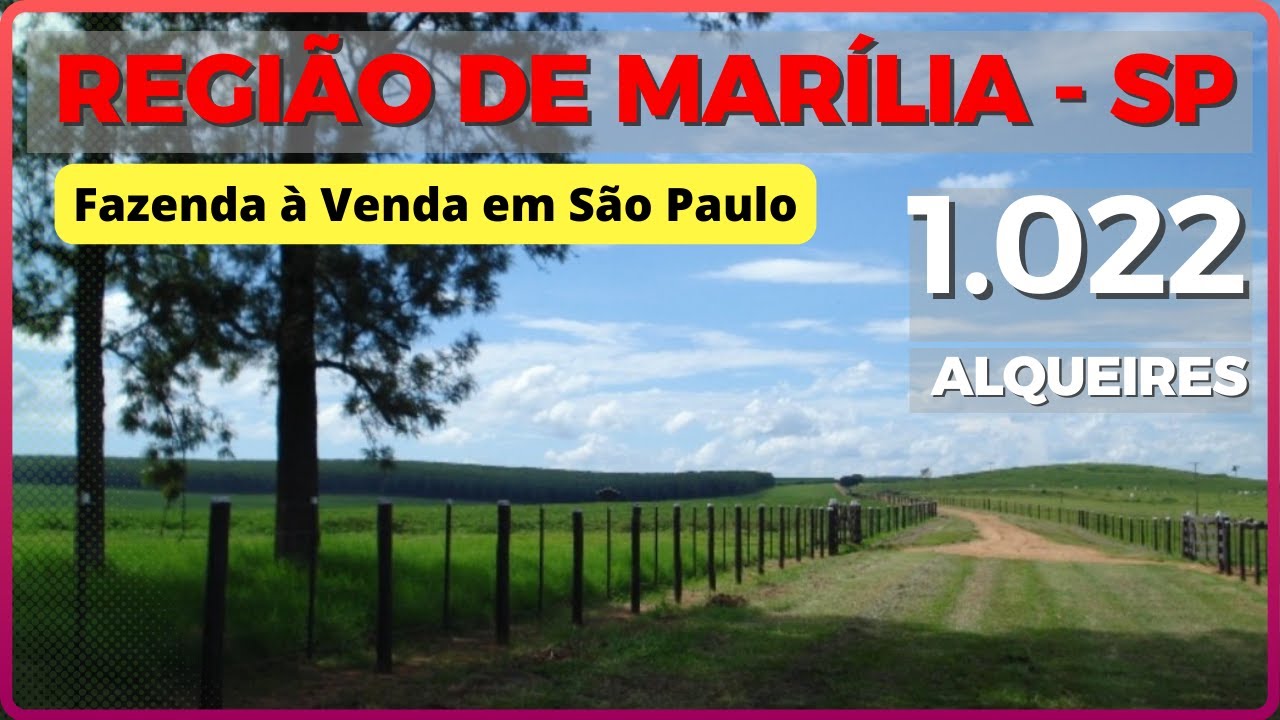 1.022 ALQ NA REGIÃO DE MARÍLIA - FAZENDA A VENDA EM SÃO PAULO [🌱DUPLA APTIDÃO🐄] #agro #fazenda