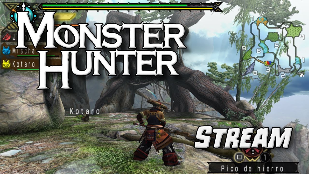 Jugando Monster Hunter!! y quizás otro juego...