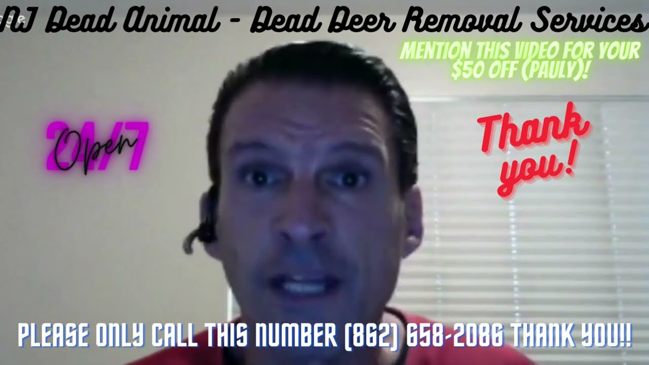 Dead Animal Removal in Montclair NJ 😂