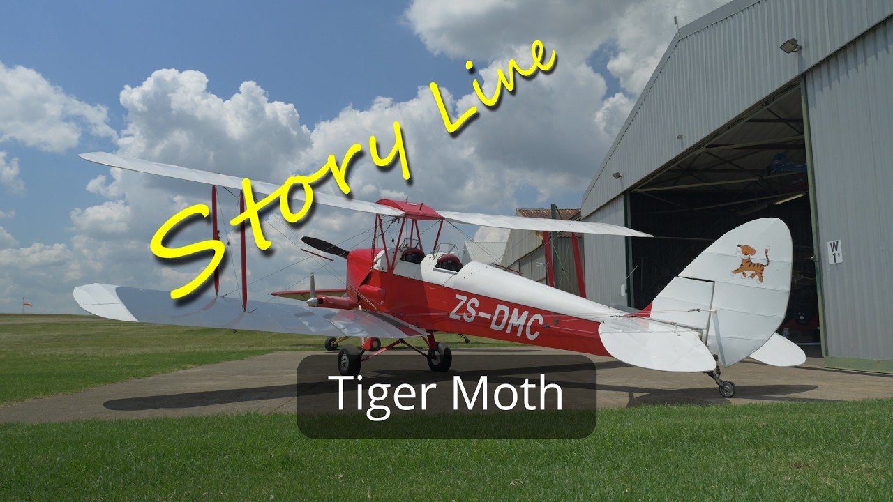 Tiger Moth