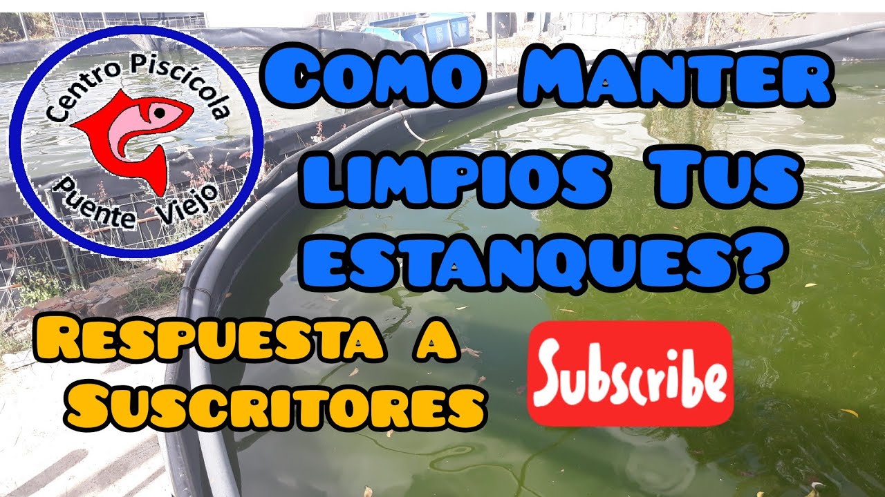 Respues a Suscriptores: CÓMO MANTENER LIMPIA EL AGUA DE TU ESTANQUE DE TILAPIAS?