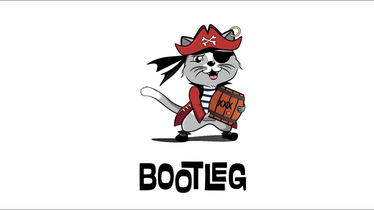 Bootleg: Chasing the Tail of Self-Supervised Named Entity Disambiguation (CIDR 2021)