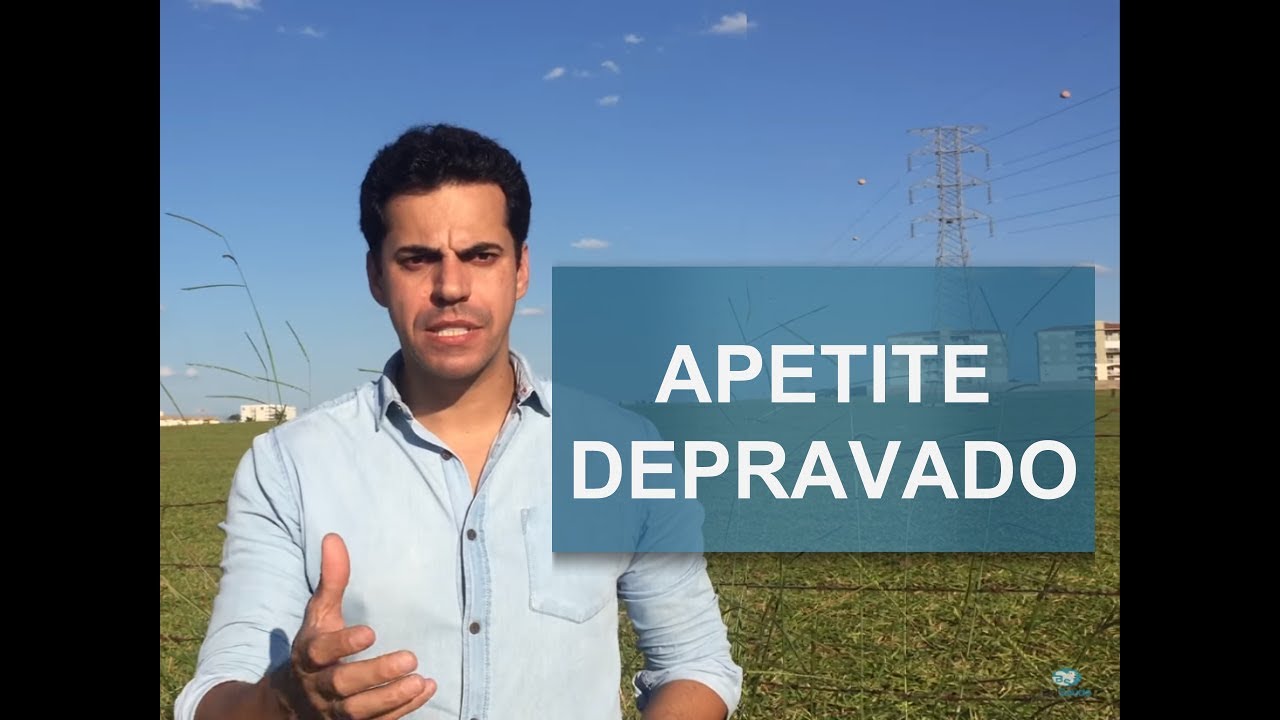 COMO EVITAR O APETITE DEPRAVADO DOS BOVINOS?