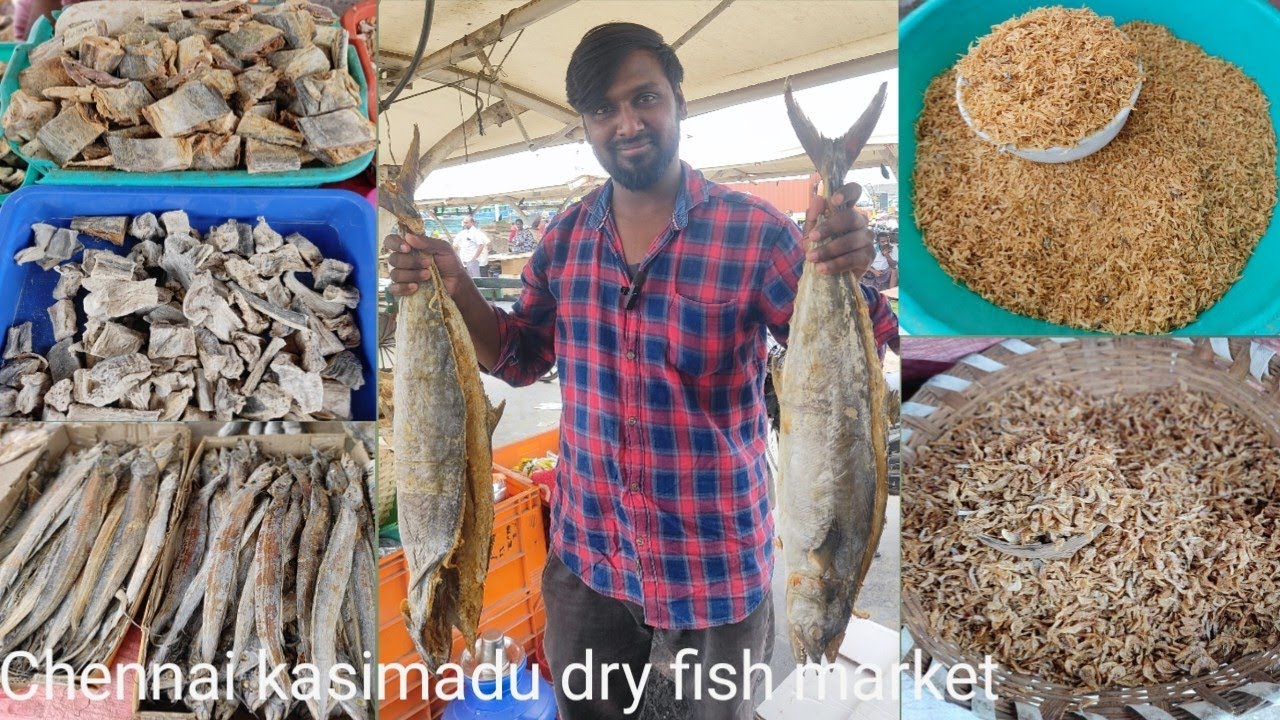 Exploring chennais Famous wholesale dry fish market fuii detaii video with prices