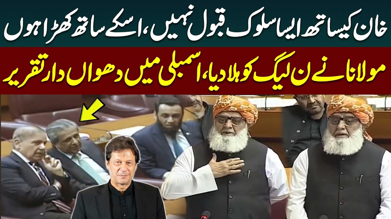 Imran Khan Ke Sath Khara Hu | Maulana Fazlur Rehman Surprised PMLN | Public News