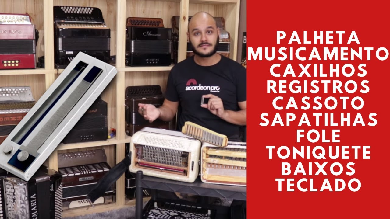 Como funciona um Acordeon?  - Peças, elementos e funcionamento