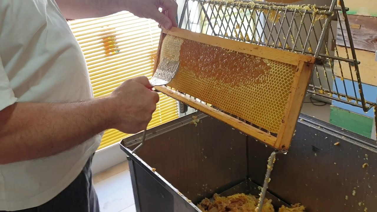 Apicoltura 2020: il laboratorio e la smielatura