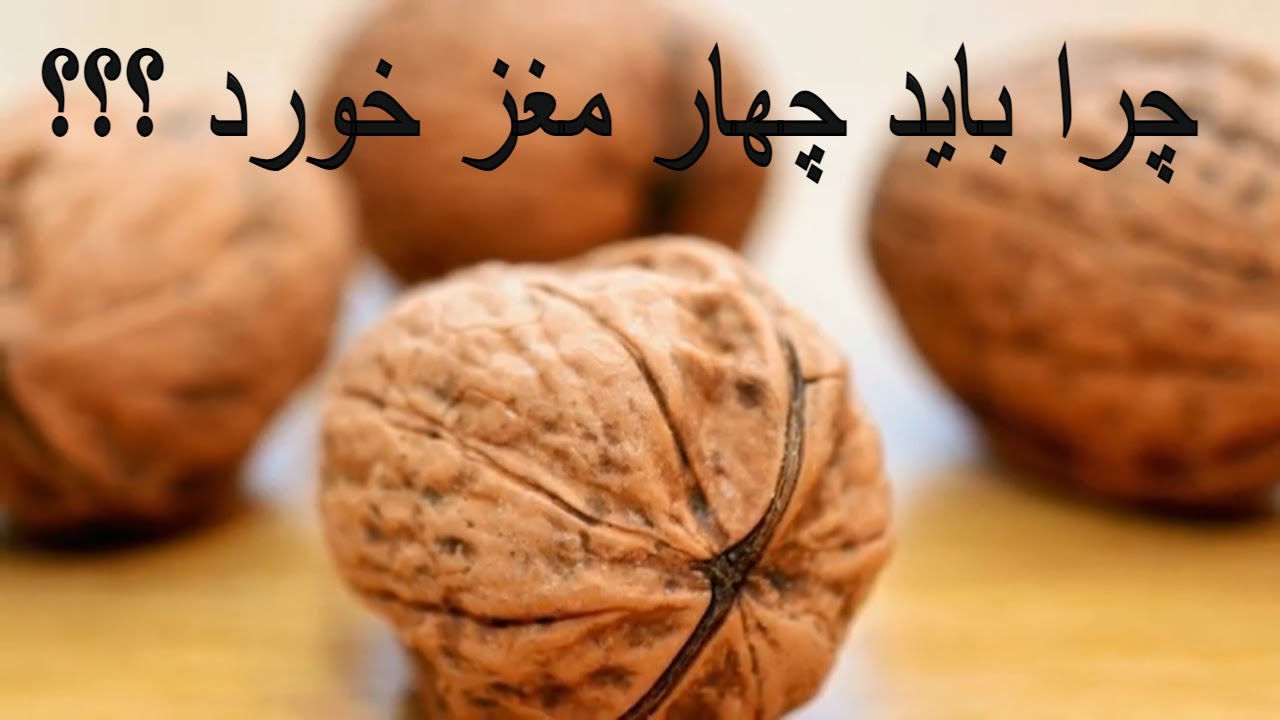 فواید و خواص چهار مغز بالایی بدن انسان ها