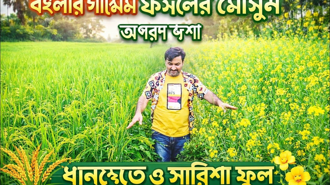 বাংলার গ্রাম ও ফসলের সৌন্দর্য | Village Nature & Harvest Season View।