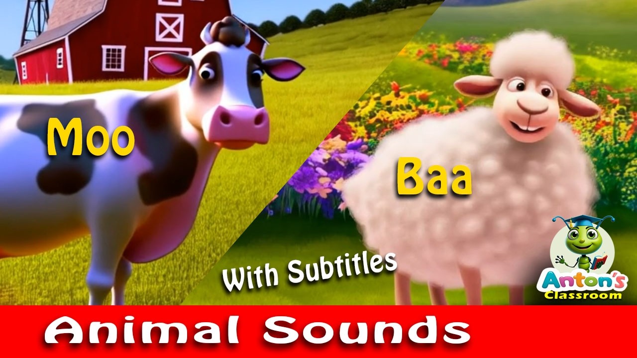 Animal Sounds