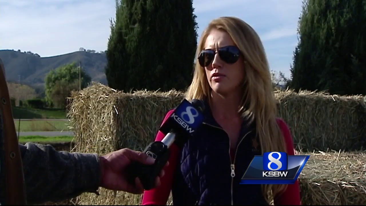 Gilroy horse lovers helping SoCal wildfire horses