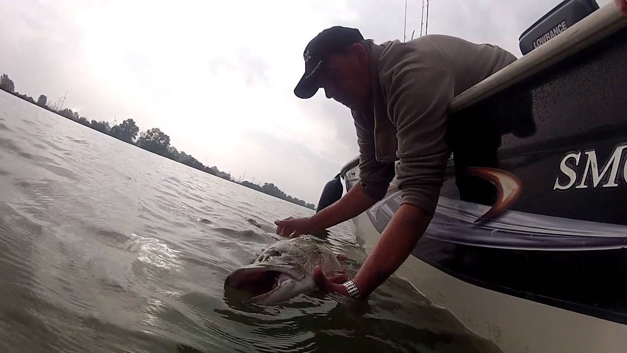 Raubfischangeln   Predatorfishing    Hecht Barsch Zander Rapfen Teil 1