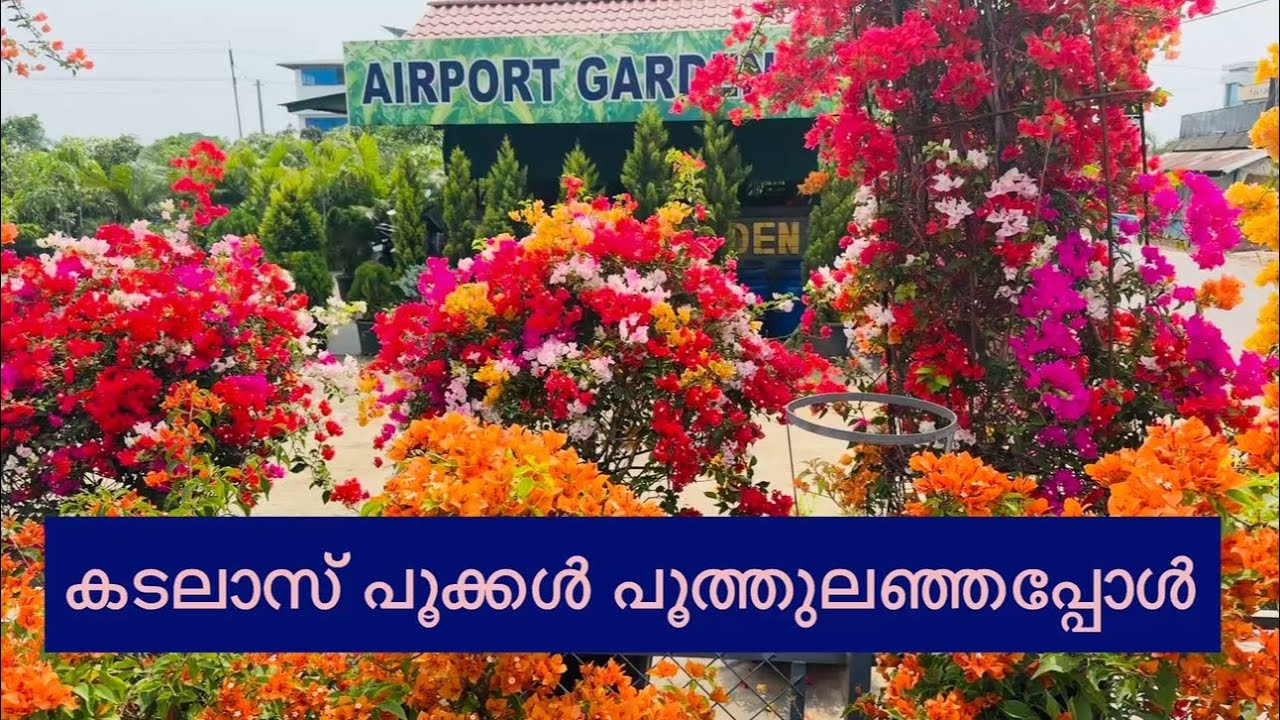 Airport Garden വർണ്ണ മനോഹരം