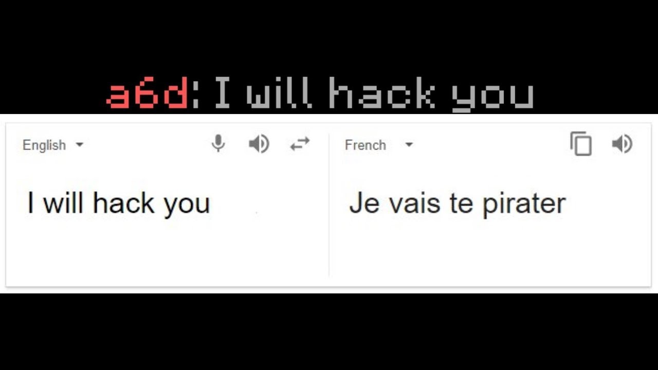 Поэтому я воспользовался Google Translate, чтобы поговорить с владельцем этого французского серве...