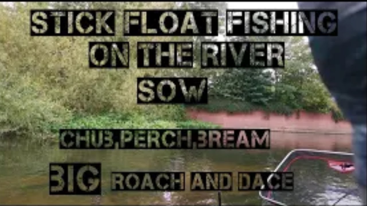 HOW TO STICK FLOAT FISH. float fishing on the river sow #fishing #floating #riverfishing