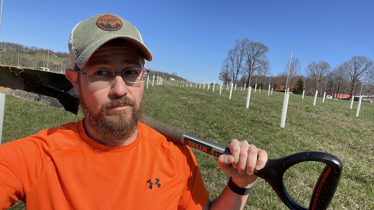 Dibble Down!  How to plant an ENTIRE FOREST in a DAY!  (Project Ogre)