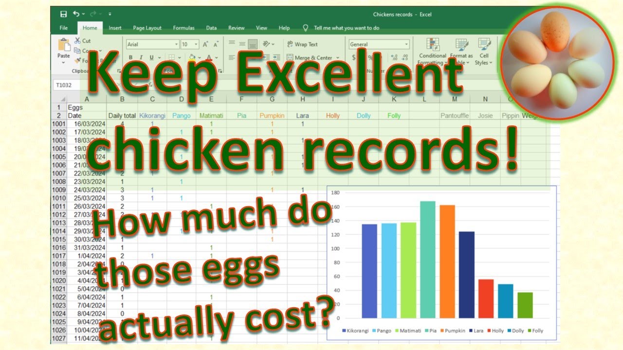 Keep EXCEL-LENT chicken records!  And know the true cost of eggs!