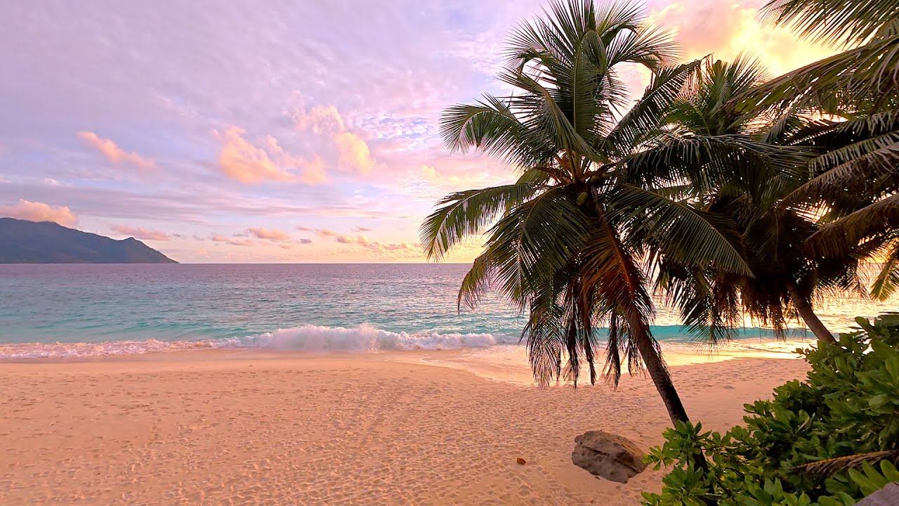 🏝 Ocean 4K. The Luxury Beach in Seychelles