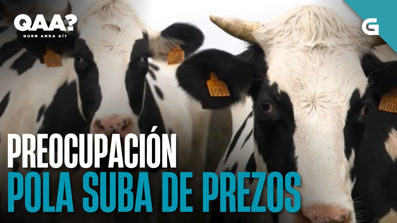PREOCUPACIÓN entre os GANDEIROS pola SUBA de PREZOS | QUEN ANDA AÍ?