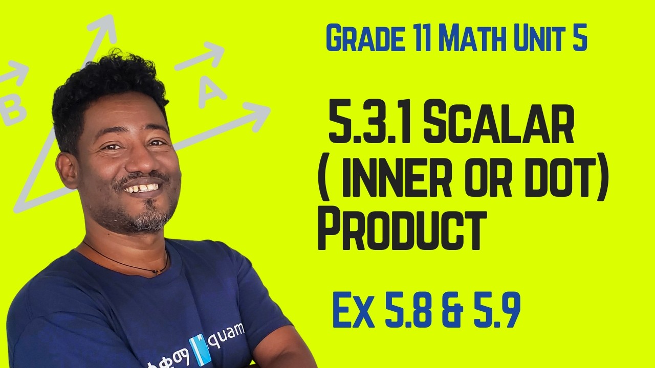 Grade 11 Maths 5: 5.3  Scalar (Inner or dot)  Product Exercise 5.8 & 5.9