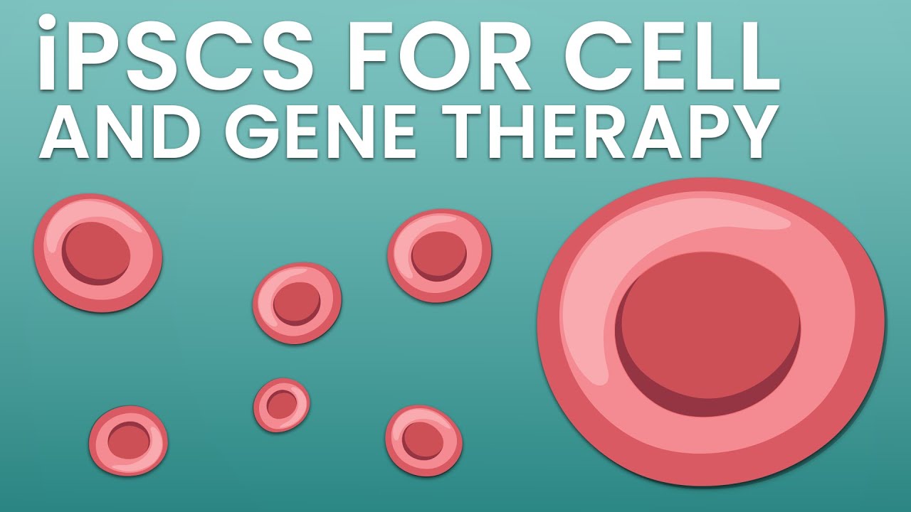 Introducing iPSCs for cell and gene therapy