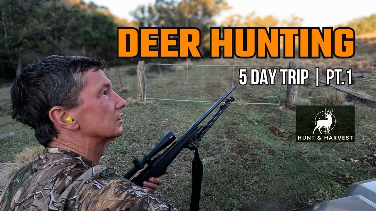 Ob&oacute;z Danieli 2026 | Część 1