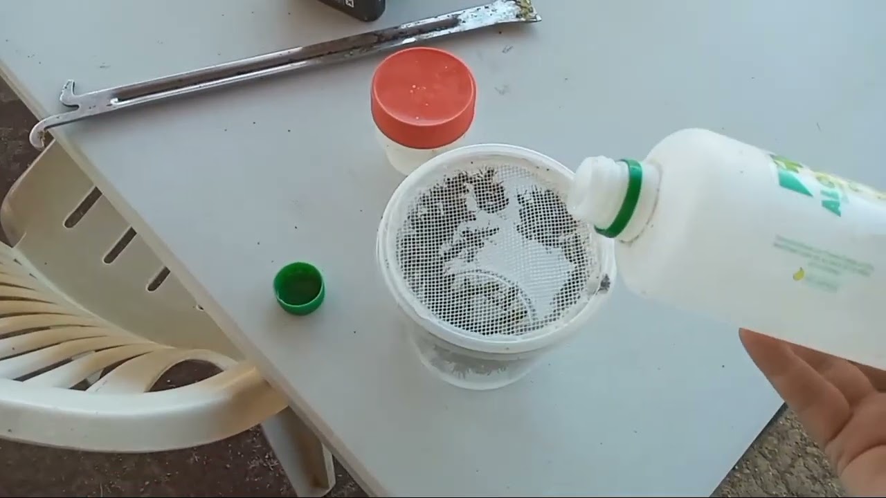 Resultado de tiras de ácido oxálico guardadas 1 año.
