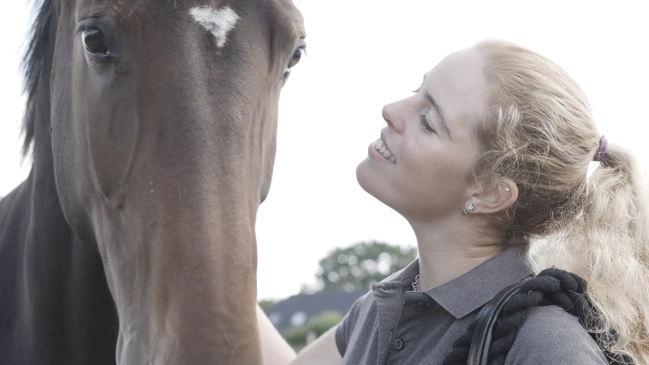 RidersDeal Collection Softshell-Reithosen