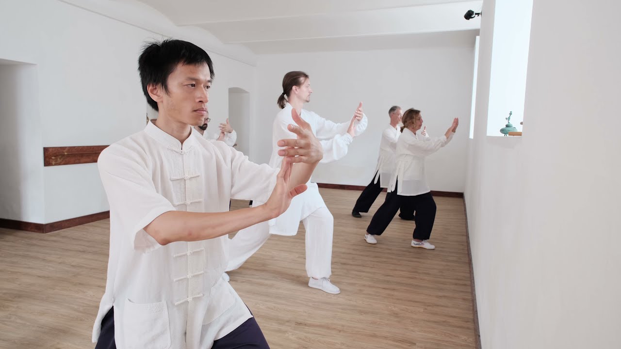 Taiji 13 - Push Movement - Part 2