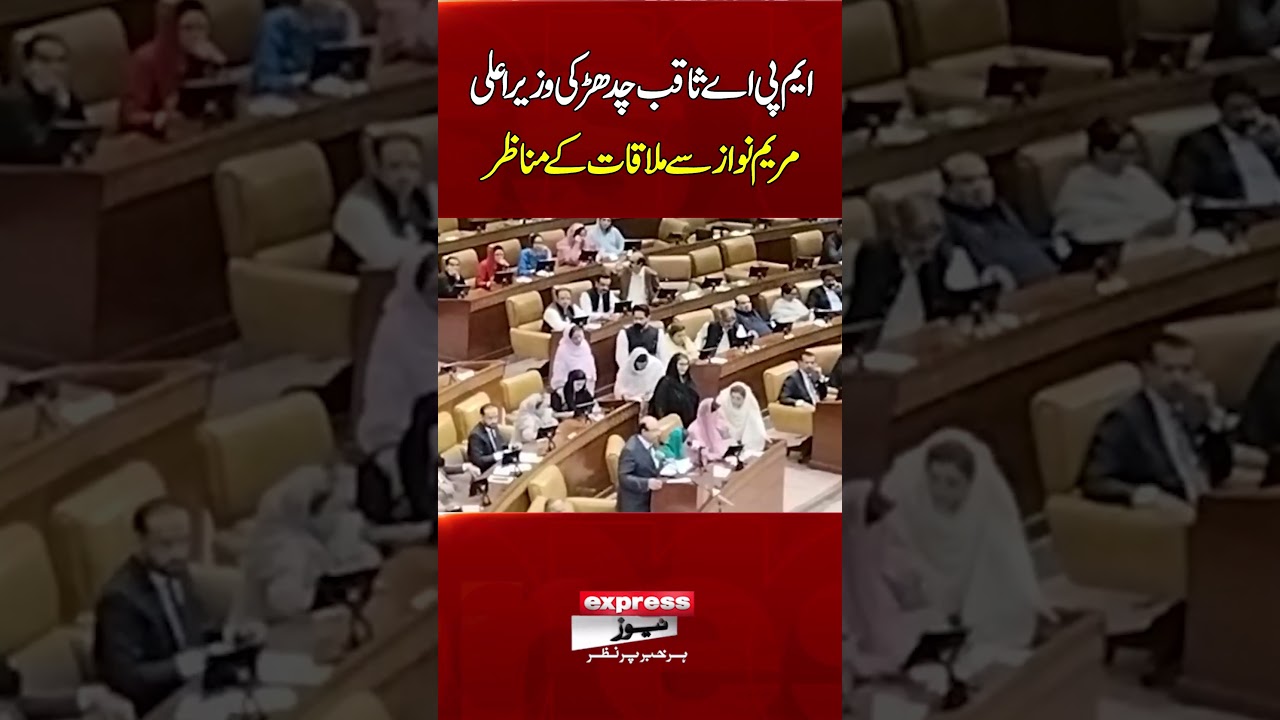 Punjab MPA Saqib Chadhar Meets CM Maryam Nawaz | Exclusive Meeting Moments | Punjab Budget 2026-27