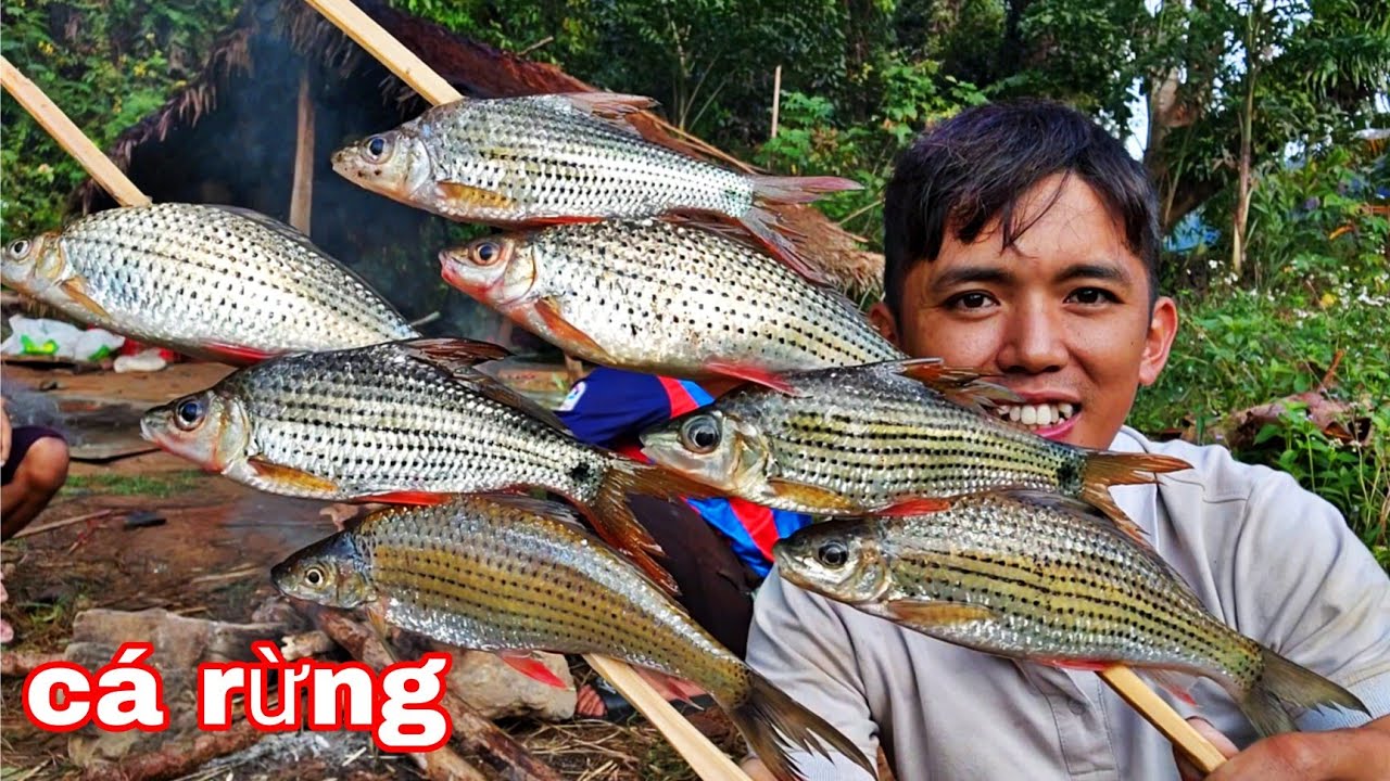 Cá Rừng RẤT Ngon | Sang Vlog Đón TẾT Giữa Rừng Già ( phần 2 )