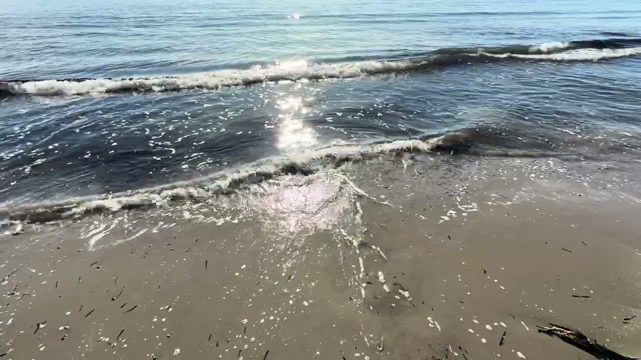 Beauty of the sea