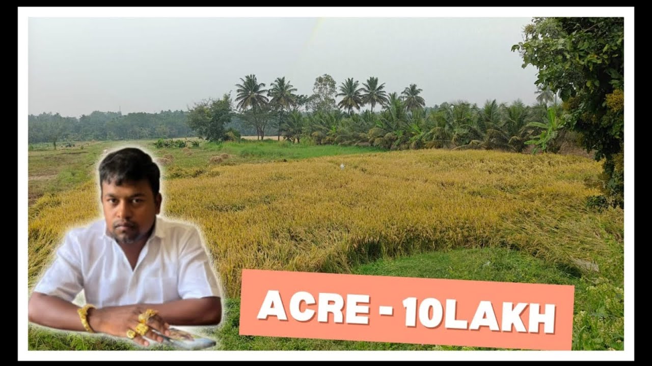 🌾 55 Acres Agricultural Land for Sale || in Andhra Pradesh || nandyala district